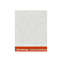 Плита потолочная ARMSTRONG Dune Supreme Tegular 24 1200х600х15 мм белый с перфорацией (7,2 кв.м./упак)