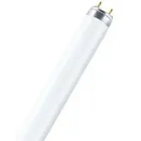 Лампа люминесцентная 36Вт G13(T8) 220В 6500K (яркий дневной) OSRAM