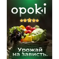 Колышки садовые композитные 10 мм х 1,2 м зеленые Opoki (10 шт)