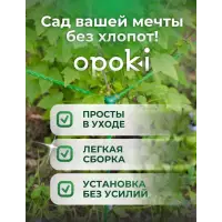 Кустодержатель садовый OPOKI 35 x 35 x 65 см