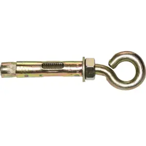 Болт анкерный с кольцом 10х60 (уп 2шт) SteelRex
