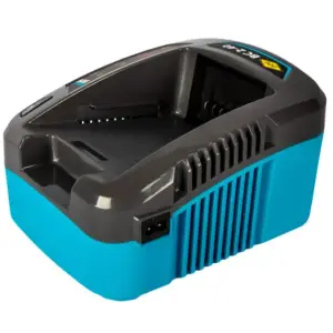 Зарядное устройство DDE BlueTech BC 2-40 (макс. ток 2 А, время заряда 70 / 135 / 200 мин, 40 В)