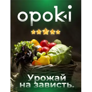 Колышки садовые композитные 10 мм х 1,5 м зеленые Opoki (10 шт)