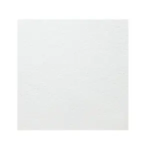 Плита потолочная ARMSTRONG Plain Tegular 15 1200x600x15 мм белый (7,2 кв.м/уп)