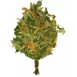 Веник липовый TM ”Бацькина баня” (в упак.)