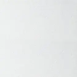 Плита потолочная ARMSTRONG Bioguard Plain Board 600х600х12 мм белый (7,2 кв.м./упак)