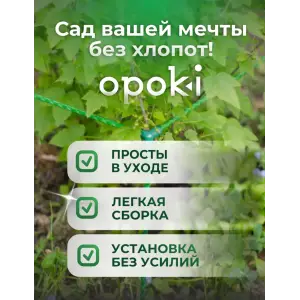 Кустодержатель садовый OPOKI 35 x 35 x 65 см