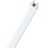 Лампа люминесцентная 36Вт G13(T8) 220В 6500K (яркий дневной) OSRAM