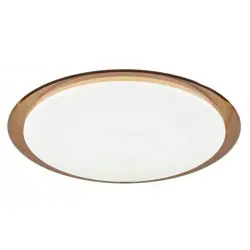 Светильник светодиодный fashion "Saturn" с пультом 70W 3000К-6500K, ЭРА, SPB-6, коричневый